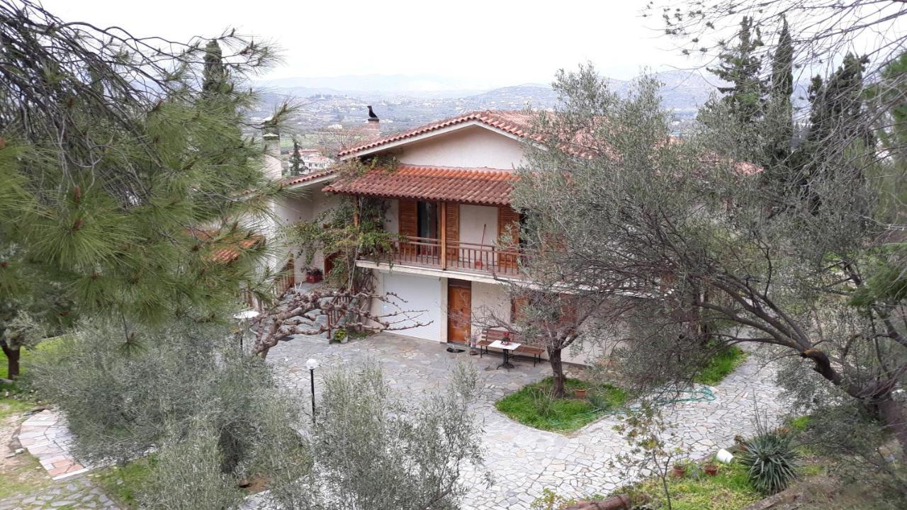Ferienwohnung Σπίτι Σε Ελαιώνα, House In An Olive Grove Ária Exterior foto