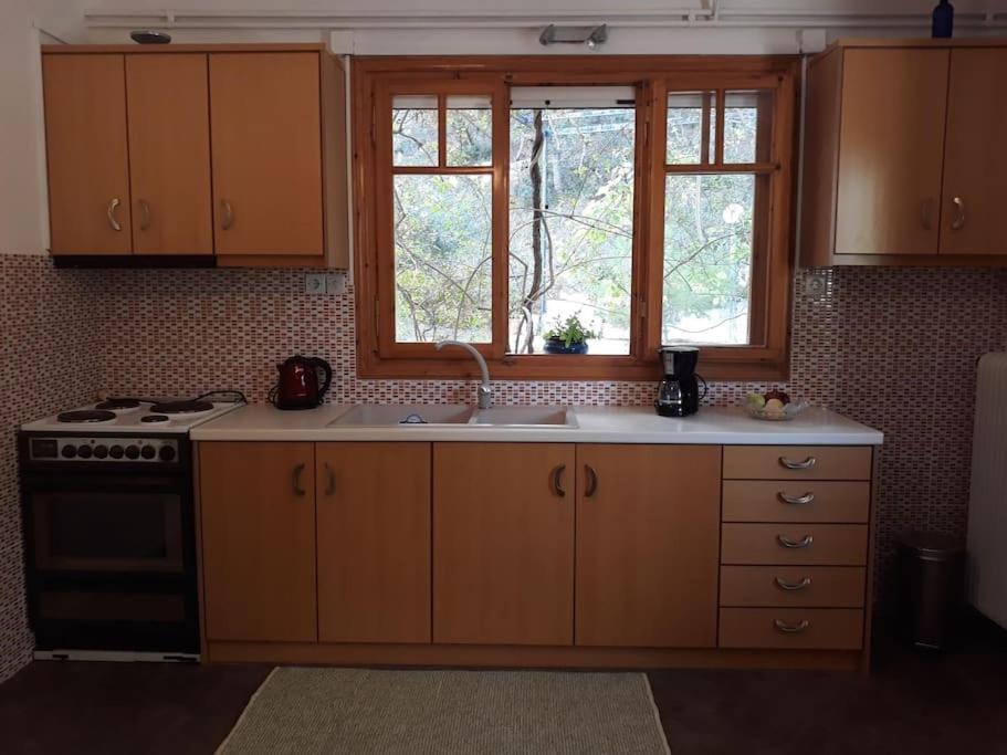 Ferienwohnung Σπίτι Σε Ελαιώνα, House In An Olive Grove Ária Exterior foto