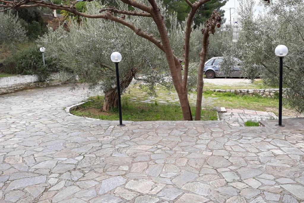 Ferienwohnung Σπίτι Σε Ελαιώνα, House In An Olive Grove Ária Exterior foto
