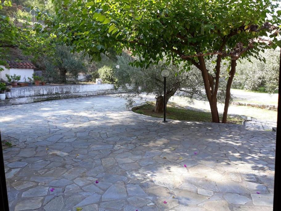 Ferienwohnung Σπίτι Σε Ελαιώνα, House In An Olive Grove Ária Exterior foto