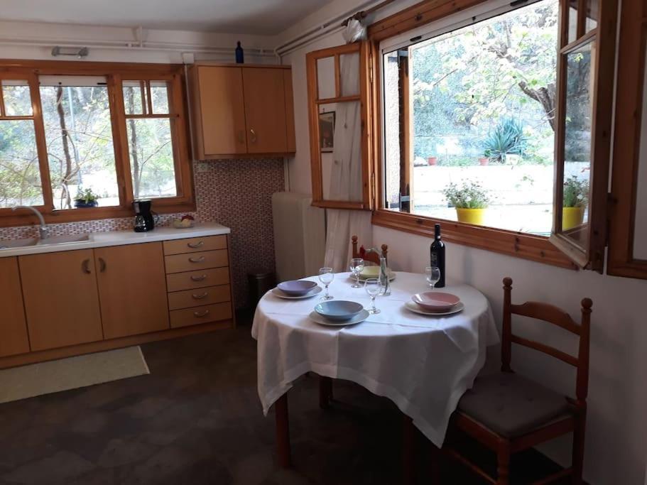 Ferienwohnung Σπίτι Σε Ελαιώνα, House In An Olive Grove Ária Exterior foto