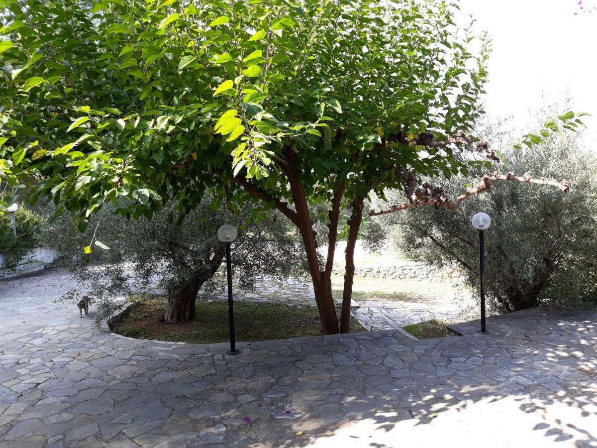 Ferienwohnung Σπίτι Σε Ελαιώνα, House In An Olive Grove Ária Exterior foto