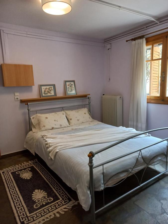 Ferienwohnung Σπίτι Σε Ελαιώνα, House In An Olive Grove Ária Exterior foto